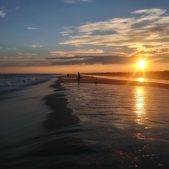 Meet your Posher, Kelly - Picture 4 of 4